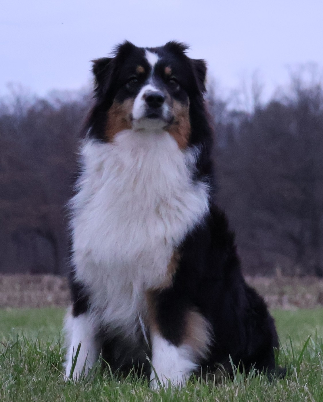 Jenny from the Block rosycheeks